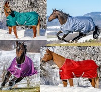 Bucas Freedom Stalldecke 150g & 300g in navy,hurricane, amethyst, red & jade NEU