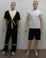 Traditioneller Wing Tsun WT Anzug + kurze Hose / Shorts - Großmeister - NEU