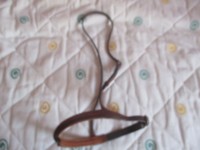 Reithalfter braun/Havanna ?, VB, ohne Sperriemen