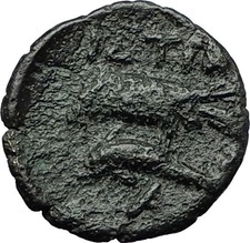 ISTROS in TRACE 4-3CenBC Apollo Sea Eagle Dolphin Ancient Greek Coin RARE i59363