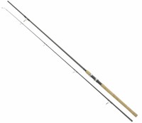 WFT Ghostrider Seatrout 3,05m Meerforellenrute 15-45g Seatrout Dorsch Hornhecht 
