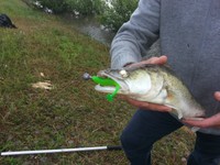 NEU!!! Gummifische NOEBY 10cm/4inch.Twister Gummiköder Carolina,Texas Rig,Jig