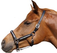 HKM Lederhalfter Diamond mit Strass braun schwarz Pony COB VB WB