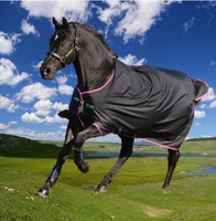 Horseware AMIGO Hero 6 Lite, black-purple-mint,  Amigo Regendecke ungefüttert