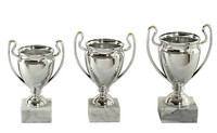 Super 3 er Serie Pokale 16 - 19 cm Silber inkl. Gravur und Emblem 473