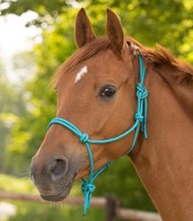 Waldhausen Knotenhalfter versch. Farben und Größen