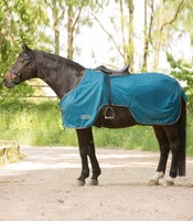Fliegenausreitdecke Waldhausen Protect petrol 125 - 155 cm Pferde Fliegendecke