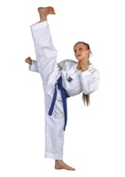 Taekwondo Anzug Dojo-Line Taekwondo Dobok von Danrho ®, Gr. 120 cm - 200 cm, Neu