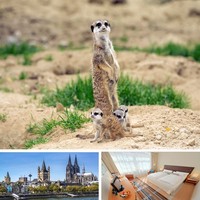 2 Tage Köln Familienurlaub mit Zoo 4★ Mercure Hotel Köln Städtereise Kurzurlaub