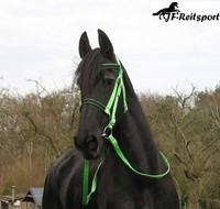 Premium Trense NEU mit Zügeln u. Stirnriemen weich unterlegt 5 Farben u 4 Größen