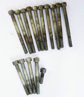 Hercules Prima Motorschrauben  Motor 505 Schraube 15 st.