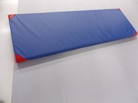 Gymnastikmatte, Turnmatte, Spielmatte, Kinderturnmatte Blau 180x60x6 cm 
