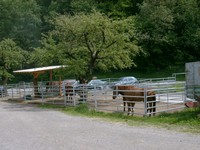 Nagelneue Panels, Roundpen, Gittereinzäunung