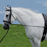 Halsverlängerer Elastic Waldhausen Gr: Shetty/Pony u. VB/WB