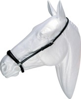 Reithalfter Hannover hannoveranisches Reithalfter Leder gepolstert Ziernaht 