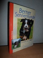 Berner Sennenhunde von Alexandra Haug (1998)
