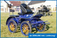 Kutsche Fahrschulwagen Marathonwagen 25" RAL6005 Wagonette Kutschen