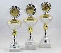 3er Serie Pokale in Silber/Gold 27 - 30 cm inkl. Gravur und Emblem - E118