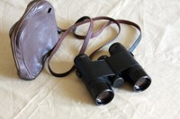 Leitz Leica Fernglas TRINOVID 8 x 32 Binocular Leica ansehen 