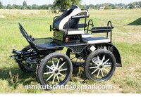 NEU Kutsche Sport Fahrschulwagen Marathonwagen Trainingswagen Wagonette Klein