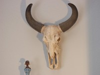 Büffelschädel Wanddeko Wandschmuck Büffelkopf Geweih Hörner Dekoobjekt Deko