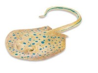 Blaupunktrochen 16 cm Serie Wassertiere Safari Ltd 267329