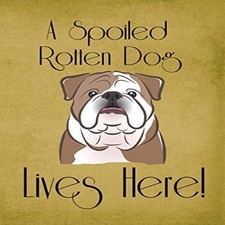 Carolines Treasures Bb1467gf English Bulldog Spoiled Dog Lives Here Flag Small
