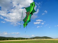 Einleiner: Hoffmans Xelon "Dazzling Colors"