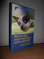 Warum lässt mein Hund mich nicht aufs Sofa?