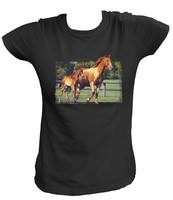 Damen T-Shirt Fohlen Stute Pferde Pferd Mustangs Spirit Horse Fantasy 16449