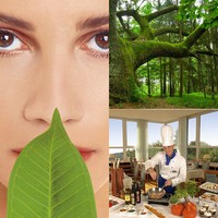 Thüringer Wald Wellness Aktiv Urlaub 2Ü-2P inkl. HP - 3*s Hotel Werrapark Resort