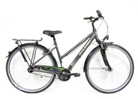 Citybike Raleigh UNICO PLUS Trapez in granitegrey