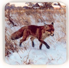 Drinks Coaster with a fox in the snow, image by Fred Haycock Coast08