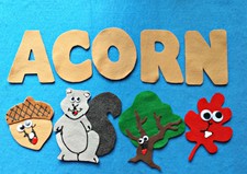 *Teach Plant Life Cycles* Acorn Is His Name-O Fall Flannel Felt Board Story Set