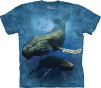 Blue Whale Aquatics T Shirt Adult Unisex The Mountain