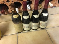 Wein /  alter Rotwein Konvolut Italien 