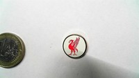 FC Liverpool Liverbird Logo Pin Bird rot weiß Badge