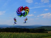 Lagerräumung: Einleiner-Drachen: 3 D Circle-Wing