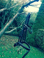 Otto Schumacher Trense Florenz Havanna