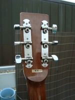 Gitarre Westerngitarre"Samick"