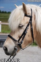Wanderreittrense von Fakur Isländer Islandpferd 