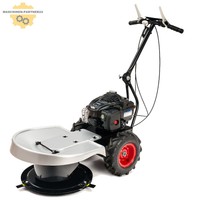 LUMAG Profi Hochgrasmäher Kreiselmäher Gras Rasenmäher HGS-50058 mit B&S Motor