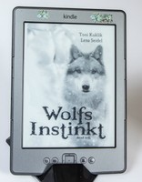 Amazon Kindle 4 mit  Gay Erotik Bücher 