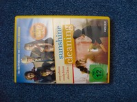 Sunshine Cleaning (DVD)
