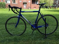 Rennrad Stevens Vuelta, komplett Dura Ace, keine Rennen, kein Sturz