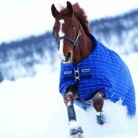 Horseware Turnout Rhino Original lite Regendecke/ Weidedecke - alle Größen NEU