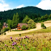 5T Urlaub Baden-Württemberg 4★ Hotel Schwarzwald günstig Kurzreise Frankreich