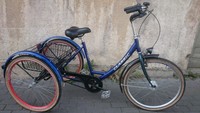 DREIRAD 24 Zoll 7-GANG Therapiefahrrad Seniorenfahrrad Erwachsene Detmold Trike