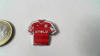 Fortuna Düsseldorf F95 Trikot Pin 2015/2016 Home