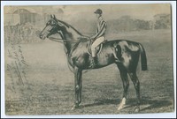 N5924/ Jockey Pferderennen AK 1907